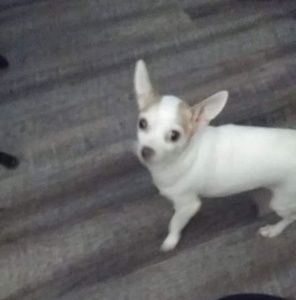 Meet your Posher, Mae